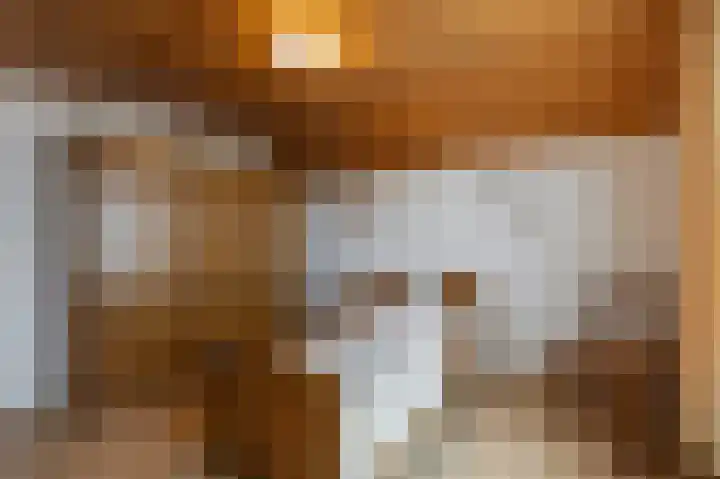 Dorpstraat 91 Echt thumbnail 32