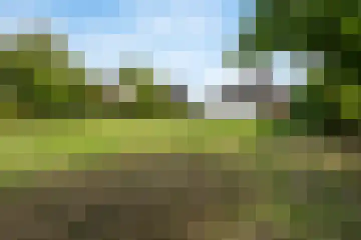 Dorpstraat 91 Echt thumbnail 35