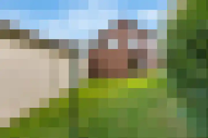 Dorpstraat 91 Echt thumbnail 36
