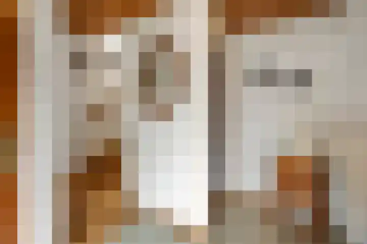 Dorpstraat 91 Echt thumbnail 7