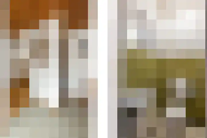 Dorpstraat 91 Echt thumbnail 8