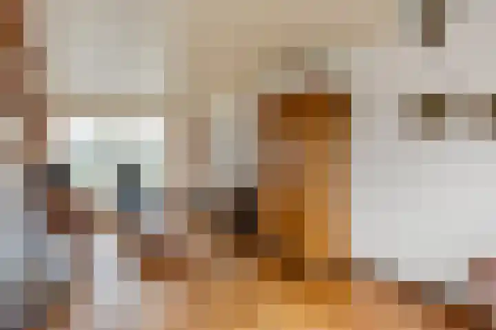 Dorpstraat 91 Echt thumbnail 9