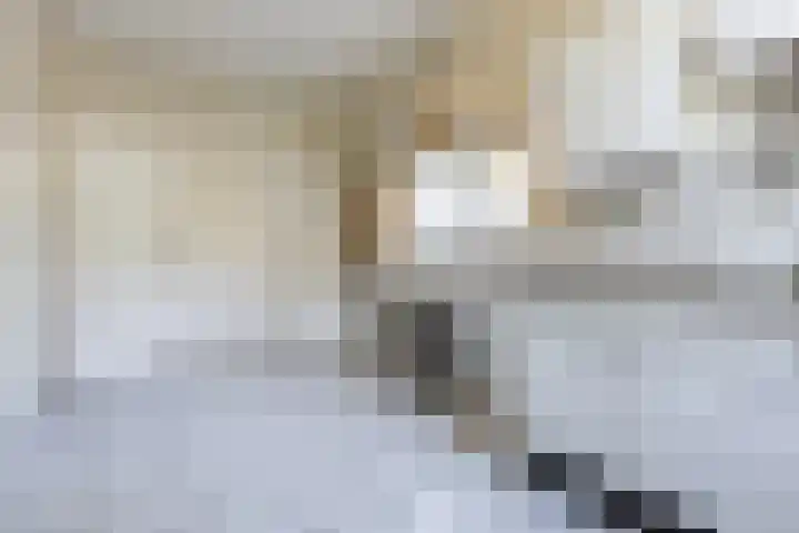 Dorpsweg 101 De Heen thumbnail 14