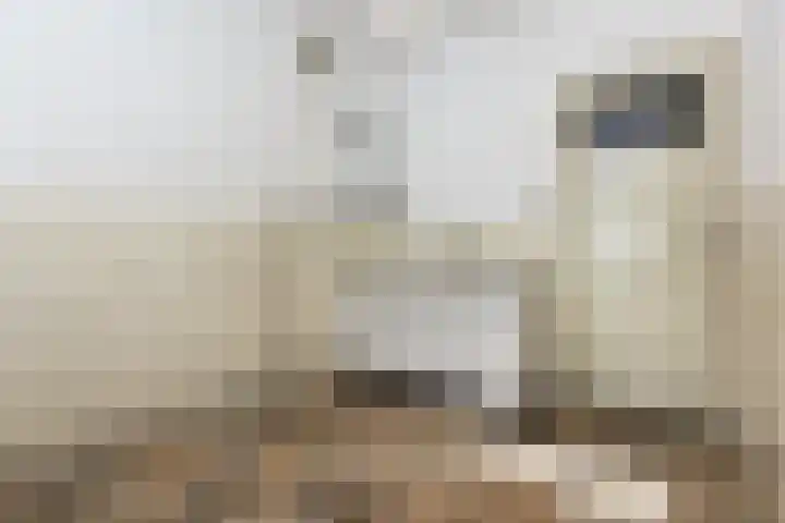 Dorpsweg 101 De Heen thumbnail 20