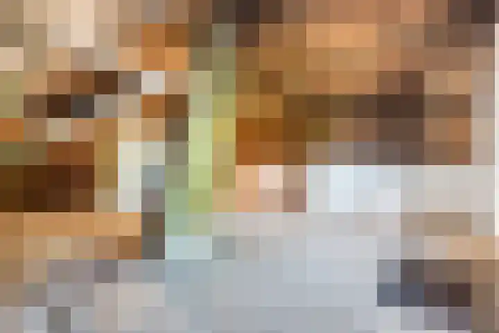 Dorpsweg 101 De Heen thumbnail 26