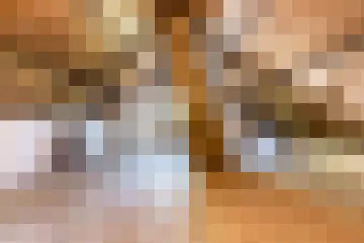 Dorpsweg 101 De Heen thumbnail 27