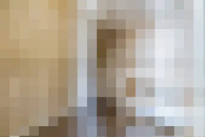 Dorpsweg 101 De Heen thumbnail 36