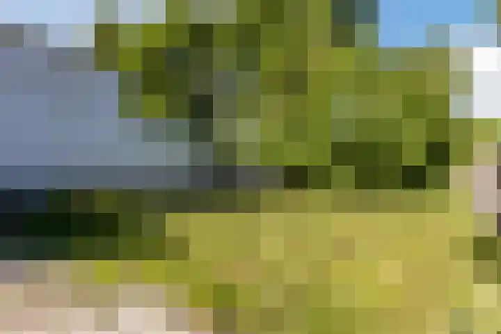 Dorpsweg 101 De Heen thumbnail 41