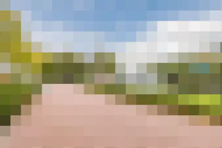 Dorpsweg 101 De Heen thumbnail 43