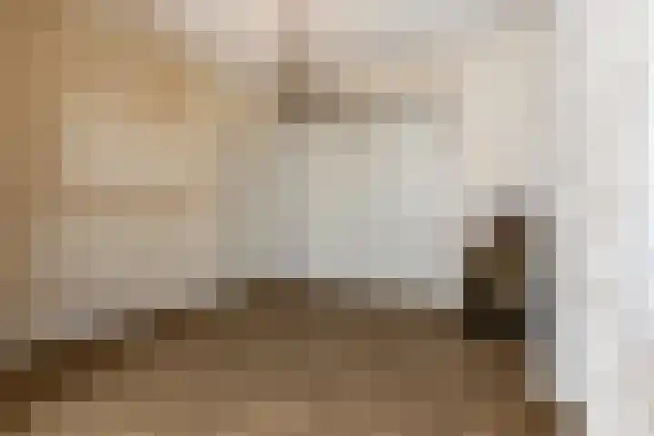 Dorpsweg 101 De Heen thumbnail 6