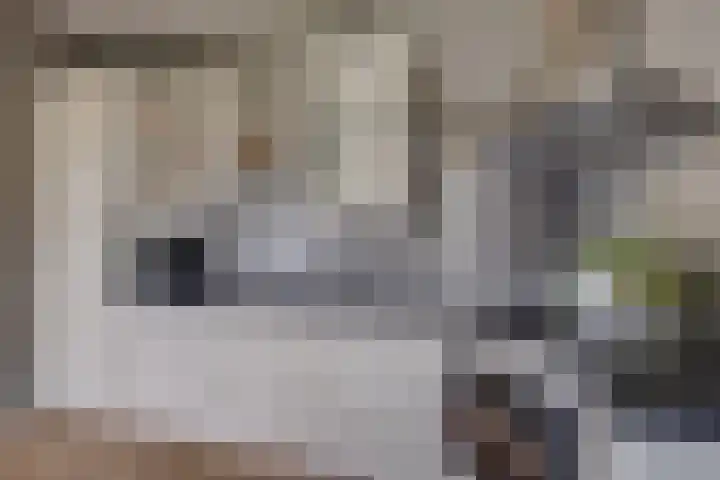 Dorpsweg 11 Spankeren thumbnail 10