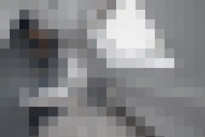Dorpsweg 11 Spankeren thumbnail 19