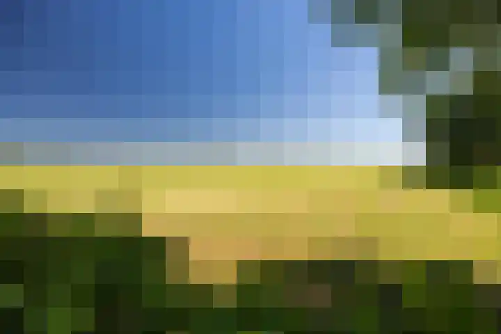 Dorpsweg 127 E Twisk thumbnail 28