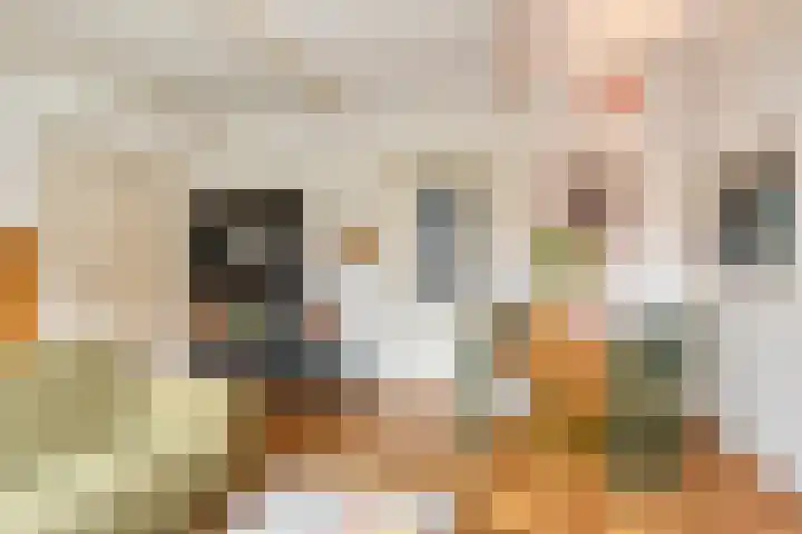 Dorpsweg 153 Twisk thumbnail 25