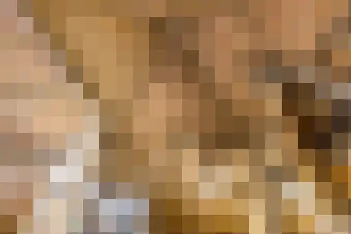 Dorpsweg 153 Twisk thumbnail 34
