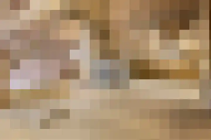 Dorpsweg 153 Twisk thumbnail 35