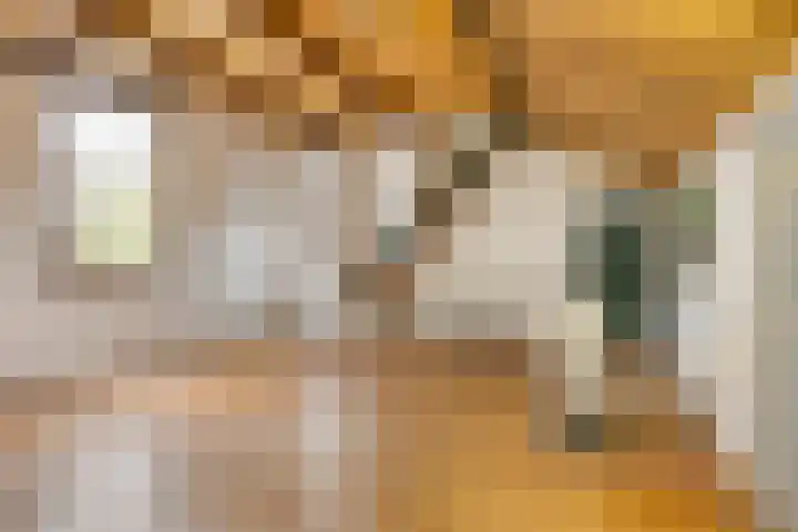 Dorpsweg 153 Twisk thumbnail 36