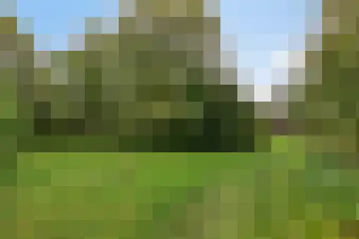 Dorpsweg 153 Twisk thumbnail 44