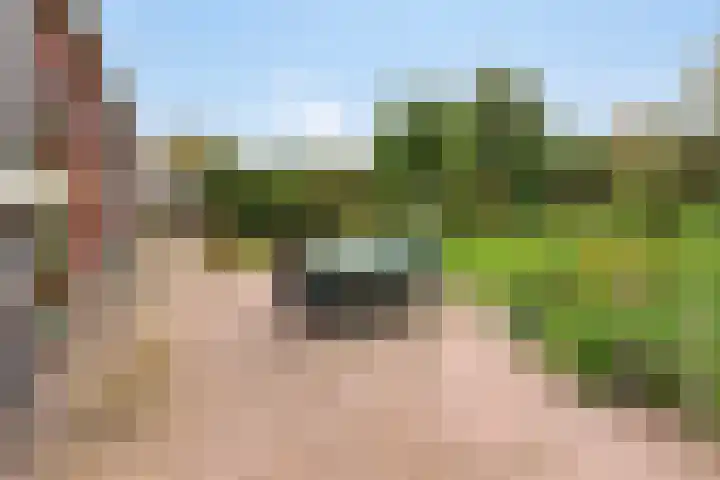 Dorpsweg 153 Twisk thumbnail 47