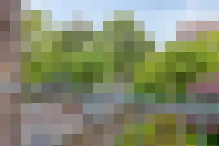 Dorpsweg 199 B Rotterdam thumbnail 15