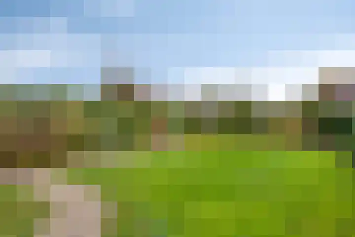 Dorpsweg 32 Onnen thumbnail 37