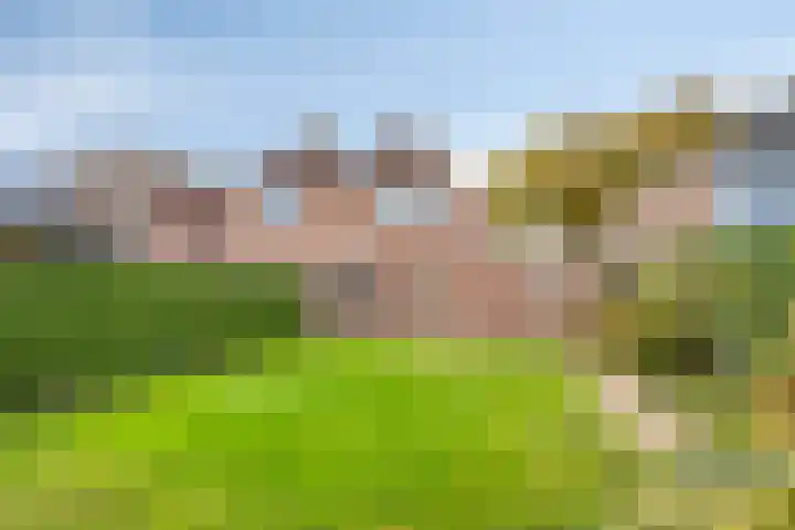 Dorpsweg 32 Onnen thumbnail 5
