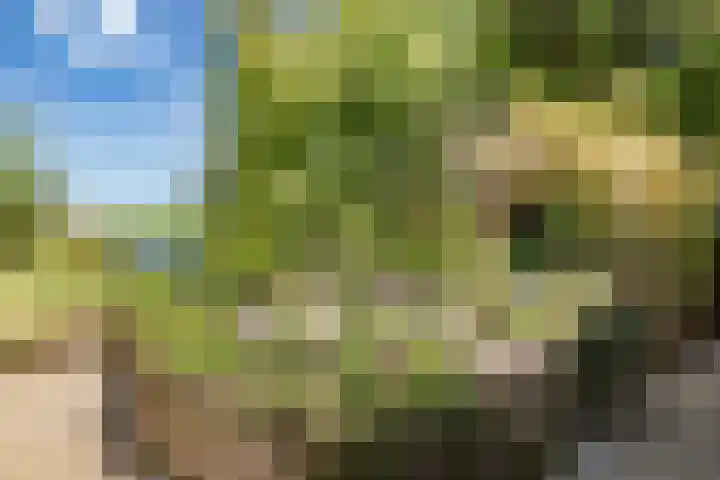 Dorpsweg 34 Oudendijk thumbnail 26