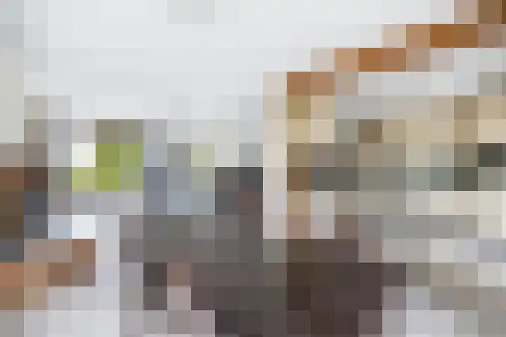Dorpsweg 5 Simonshaven thumbnail 15