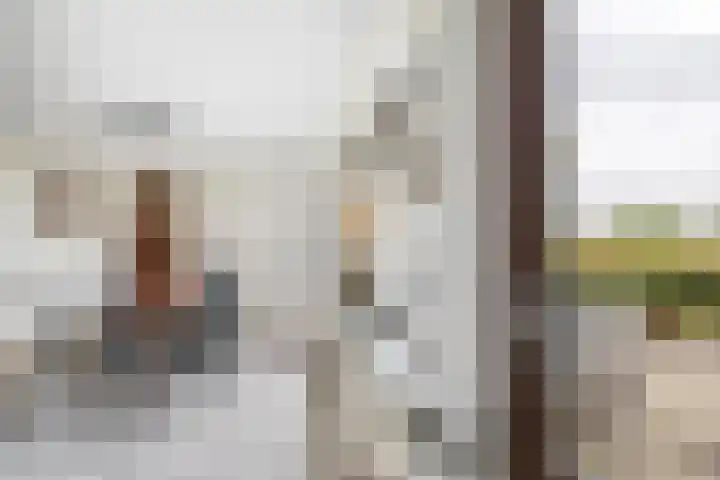Dorpsweg 5 Simonshaven thumbnail 21
