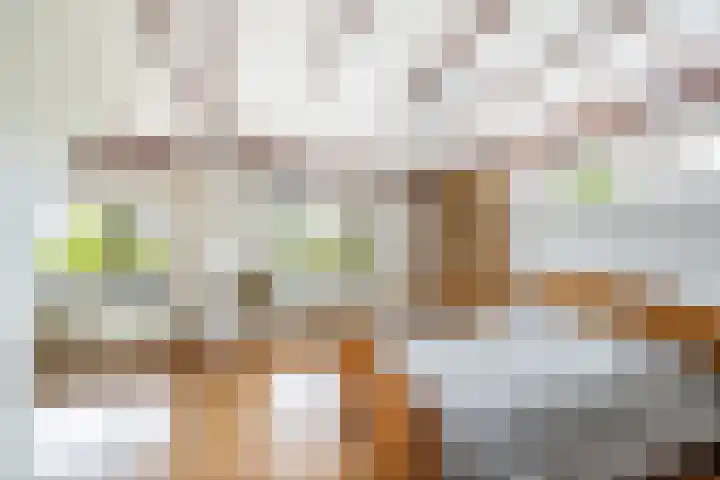 Dorpsweg 5 Simonshaven thumbnail 26