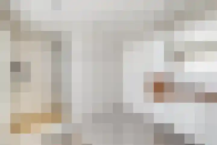 Dorpsweg 5 Simonshaven thumbnail 33