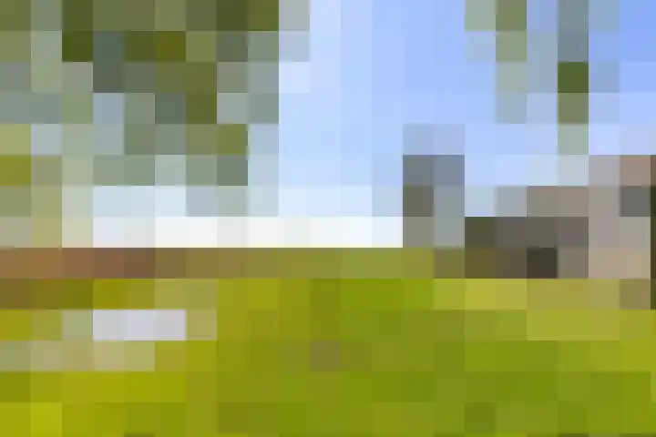 Dorpsweg 5 Simonshaven thumbnail 53