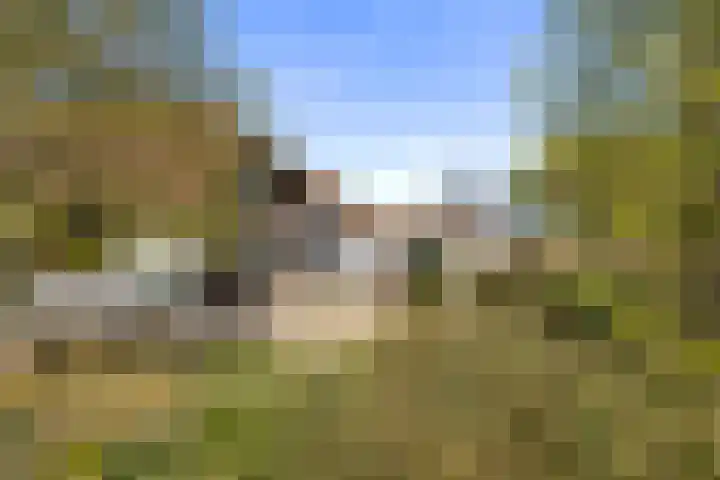 Dorpsweg 5 Simonshaven thumbnail 54
