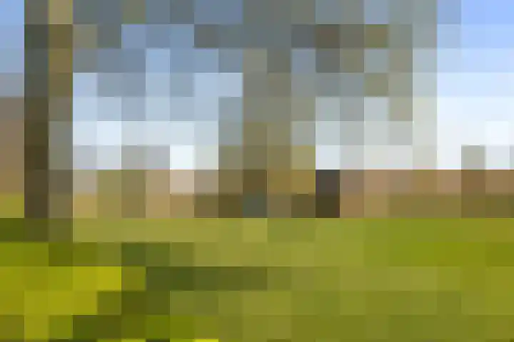 Dorpsweg 5 Simonshaven thumbnail 6