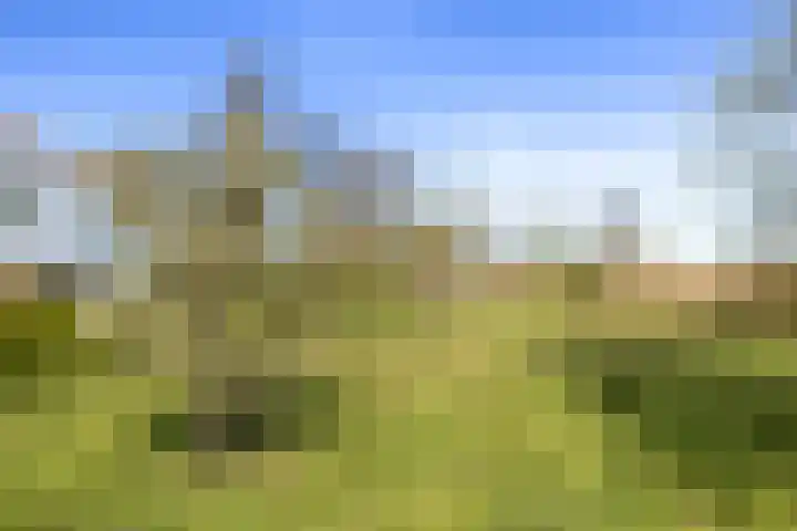 Dorpsweg 5 Simonshaven thumbnail 62