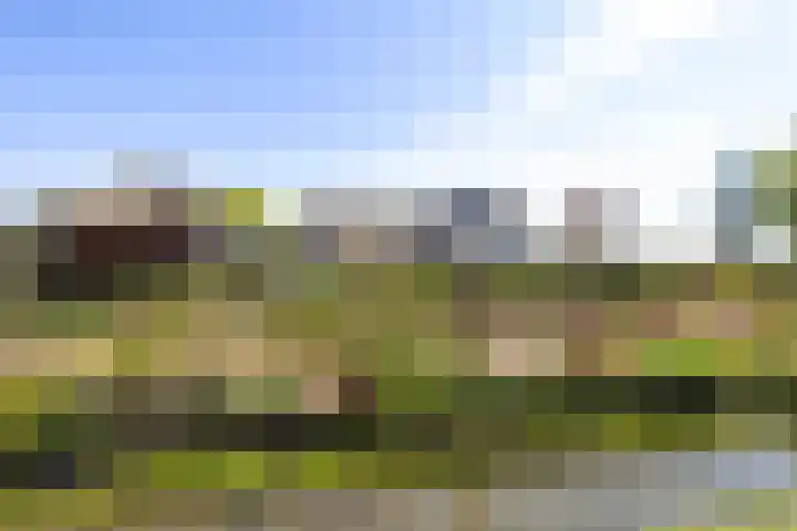 Dorpsweg 5 Simonshaven thumbnail 64