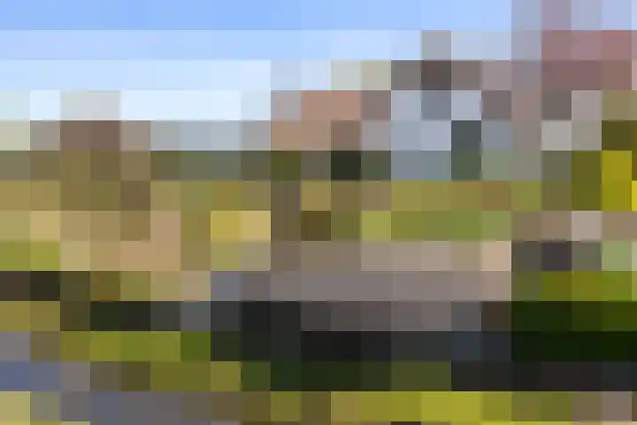 Dorpsweg 5 Simonshaven thumbnail 7
