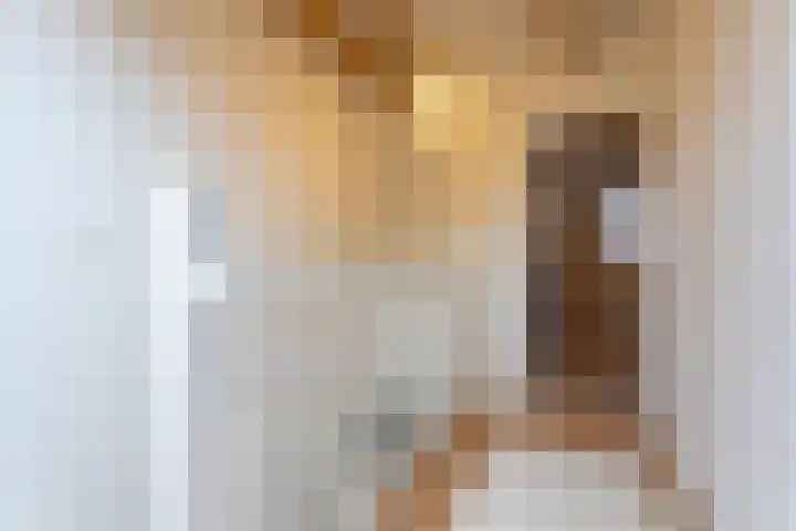 Dorpsweg 50 Twisk thumbnail 34