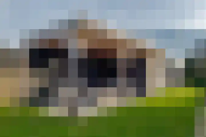 Dorpsweg 63 Hattem thumbnail 44