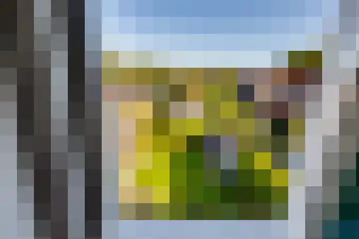 Dorpsweg 65 Spankeren thumbnail 22
