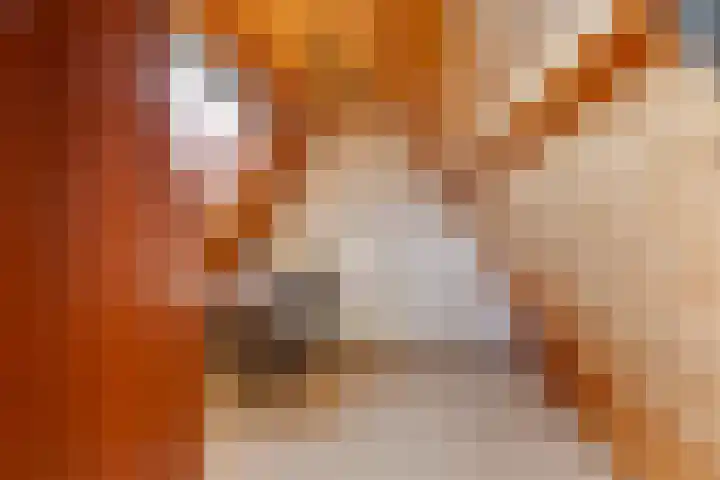 Dorpsweg 65 Spankeren thumbnail 23