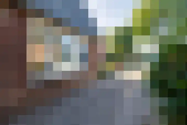 Dorpsweg 65 Spankeren thumbnail 27