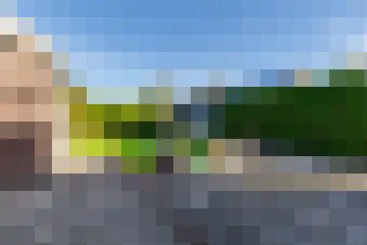 Dorpsweg 65 Spankeren thumbnail 32