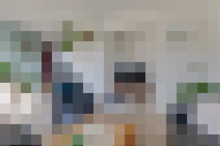 Dorpsweg 65 Spankeren thumbnail 4