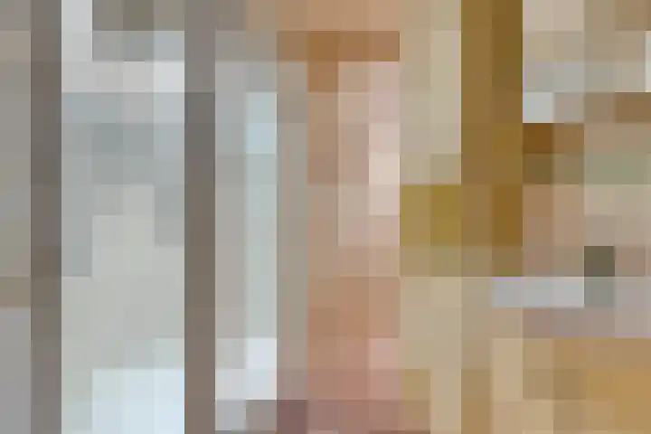 Dorpsweg 68 Schellinkhout thumbnail 15