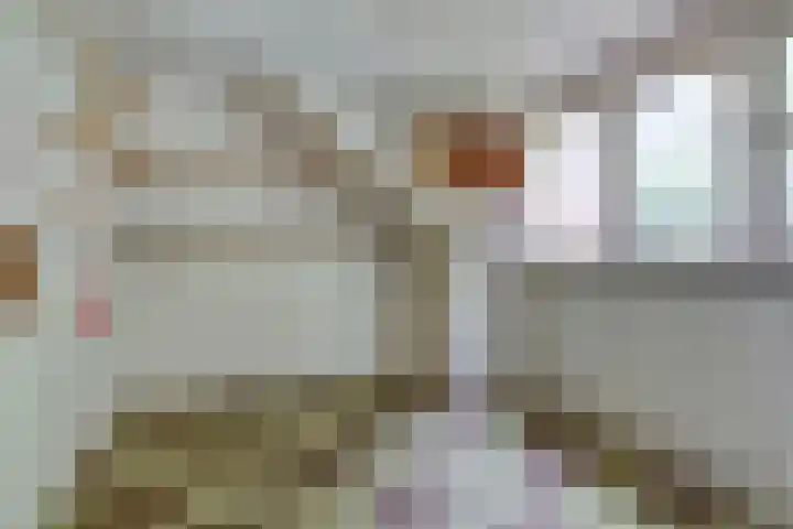 Dorpsweg 68 Schellinkhout thumbnail 18