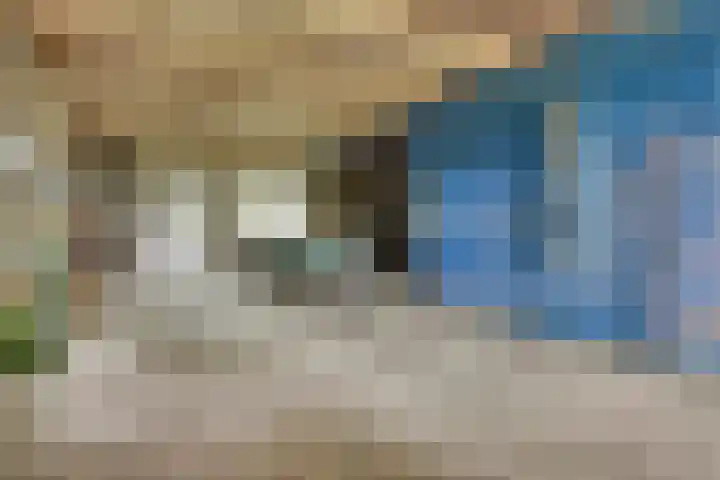 Dorpsweg 68 Schellinkhout thumbnail 23
