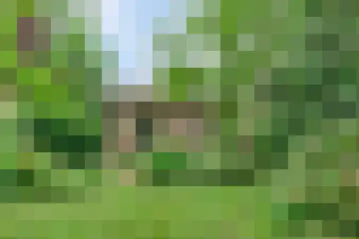 Dorpsweg 68 Schellinkhout thumbnail 25
