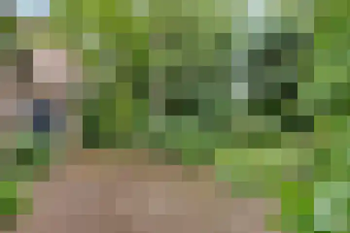 Dorpsweg 68 Schellinkhout thumbnail 26