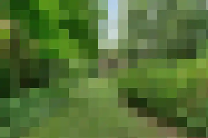 Dorpsweg 68 Schellinkhout thumbnail 28